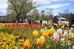 Floriade2016-17