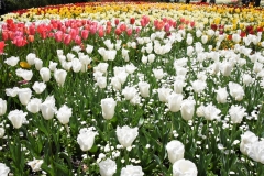 Floriade2016-19