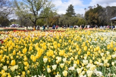 Floriade2016-20