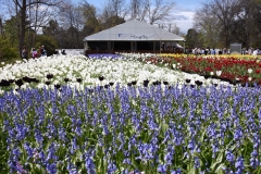 Floriade2016-25