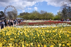 Floriade2016-28