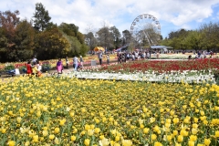 Floriade2016-29