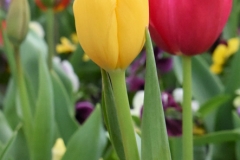 Floriade2016-4